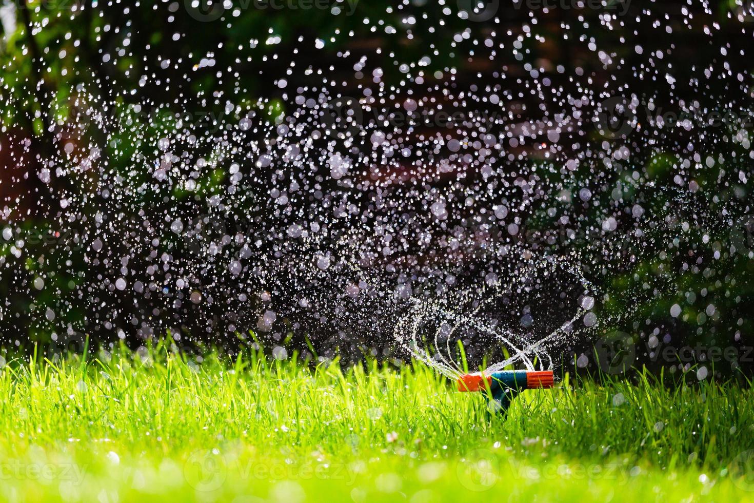 Garten Sprinkler Bewässerung Gras foto