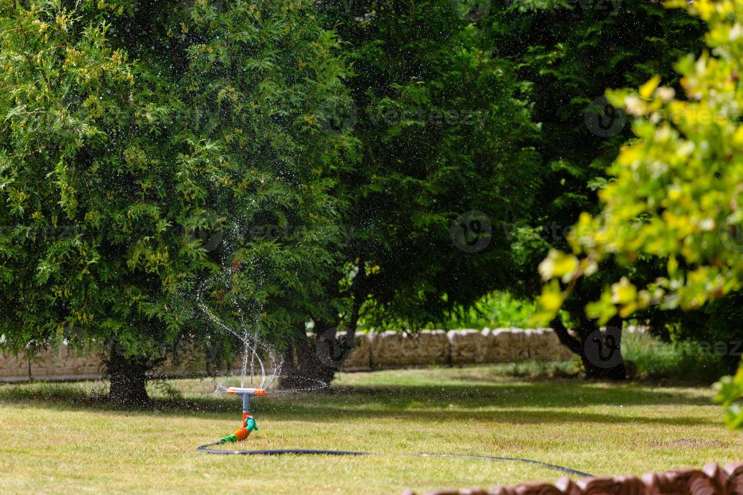 Garten Sprinkler Bewässerung Gras foto