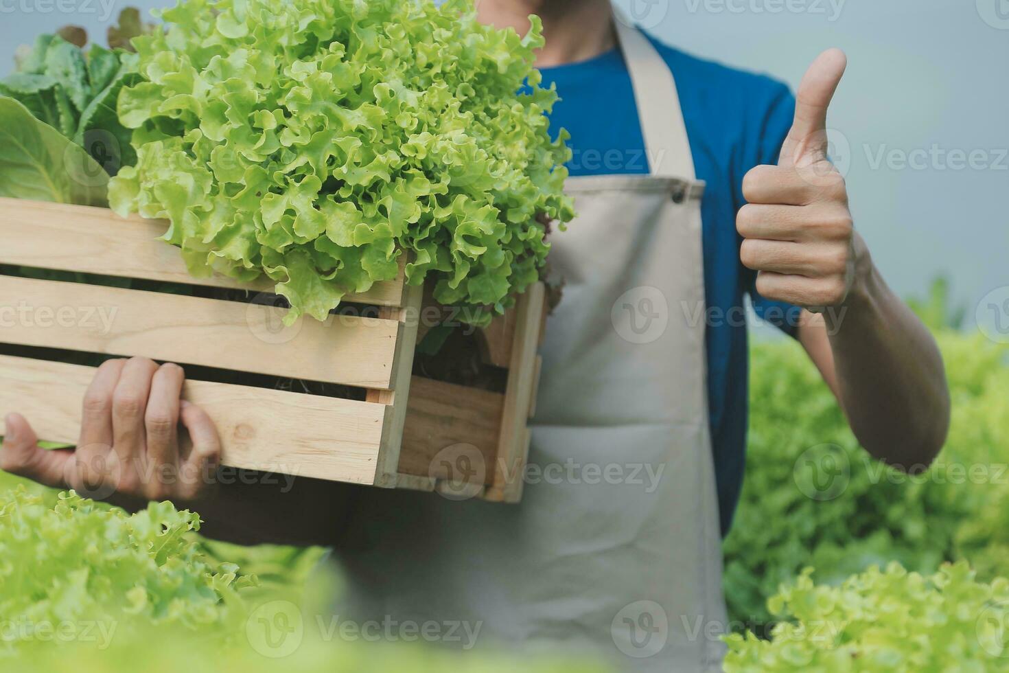 Bauern verwenden Nonius Bremssättel zu messen Gemüse zu Spur ihr Wachstum im Pflanze Kindergarten Bauernhof. Clever Landwirtschaft Technologie Konzept. foto