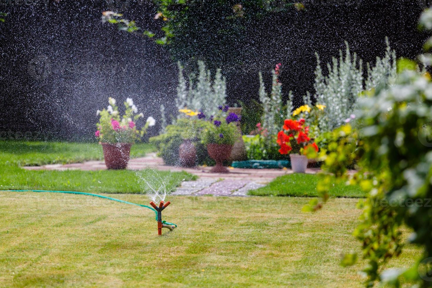 Garten Sprinkler Bewässerung Gras und Blumen foto