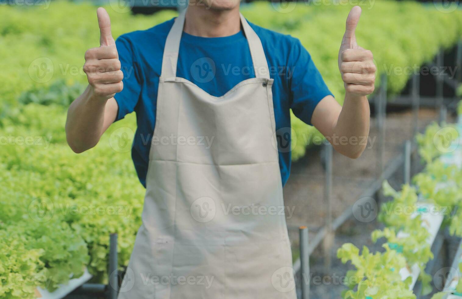 organisch Bauernhof ,Arbeiter testen und sammeln Umgebung Daten von bok Choy organisch Gemüse beim Gewächshaus Bauernhof Garten. foto