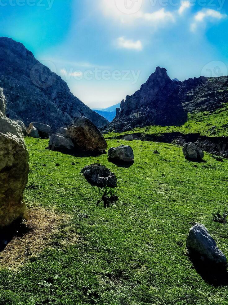 Weiß Berg Gipfel bloazin im tetouan foto