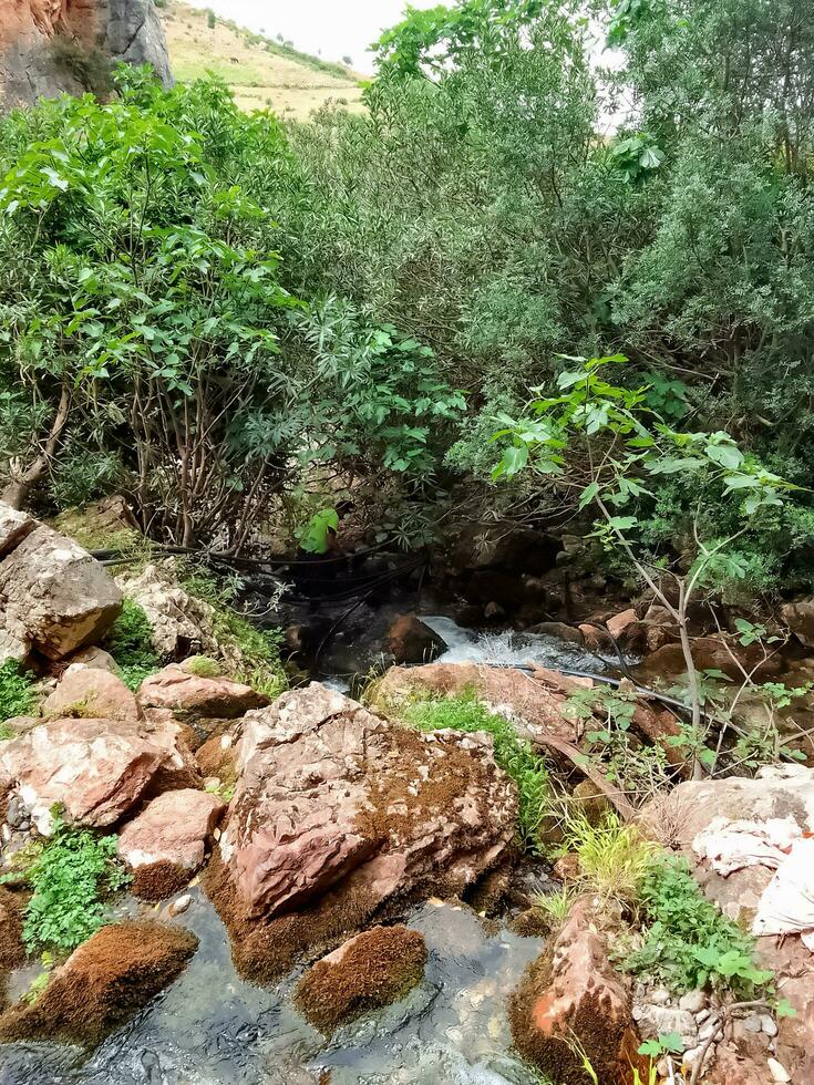 Wasser fließt im Tal foto