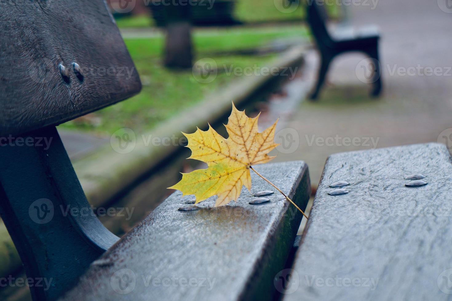 gelbes Blatt auf der Bank in der Herbstsaison foto