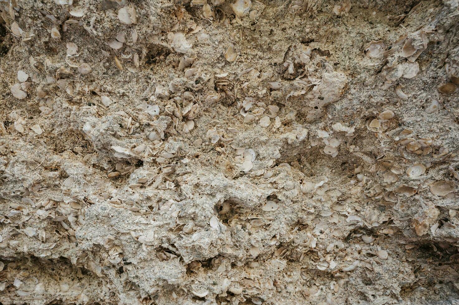 ein Schnappschuss von das Textur von sedimentär Kalkstein Felsen im ein Felsen Spalt foto