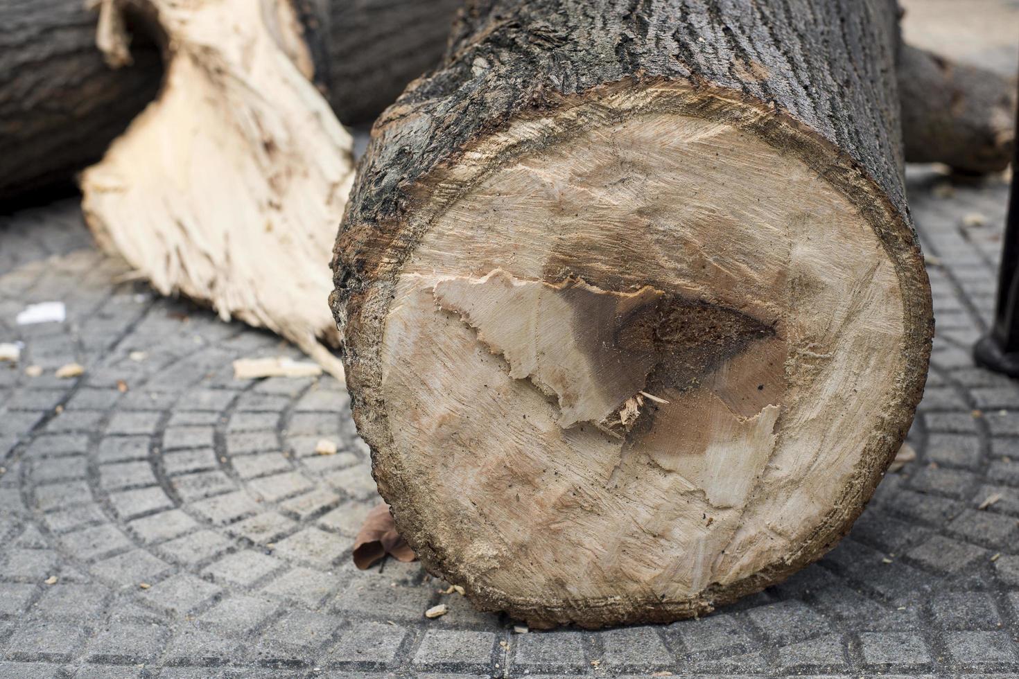 Holz fiel auf den Boden foto