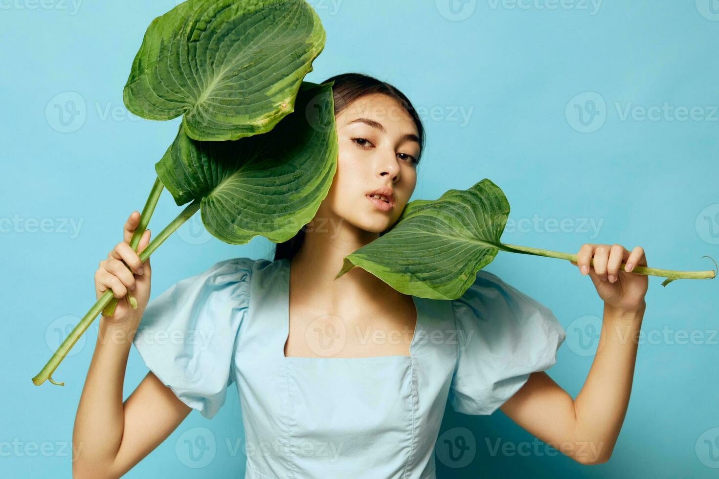 Frau Lächeln glücklich Schönheit kosmetisch Blau Rosa Palme Studio Blatt jung foto