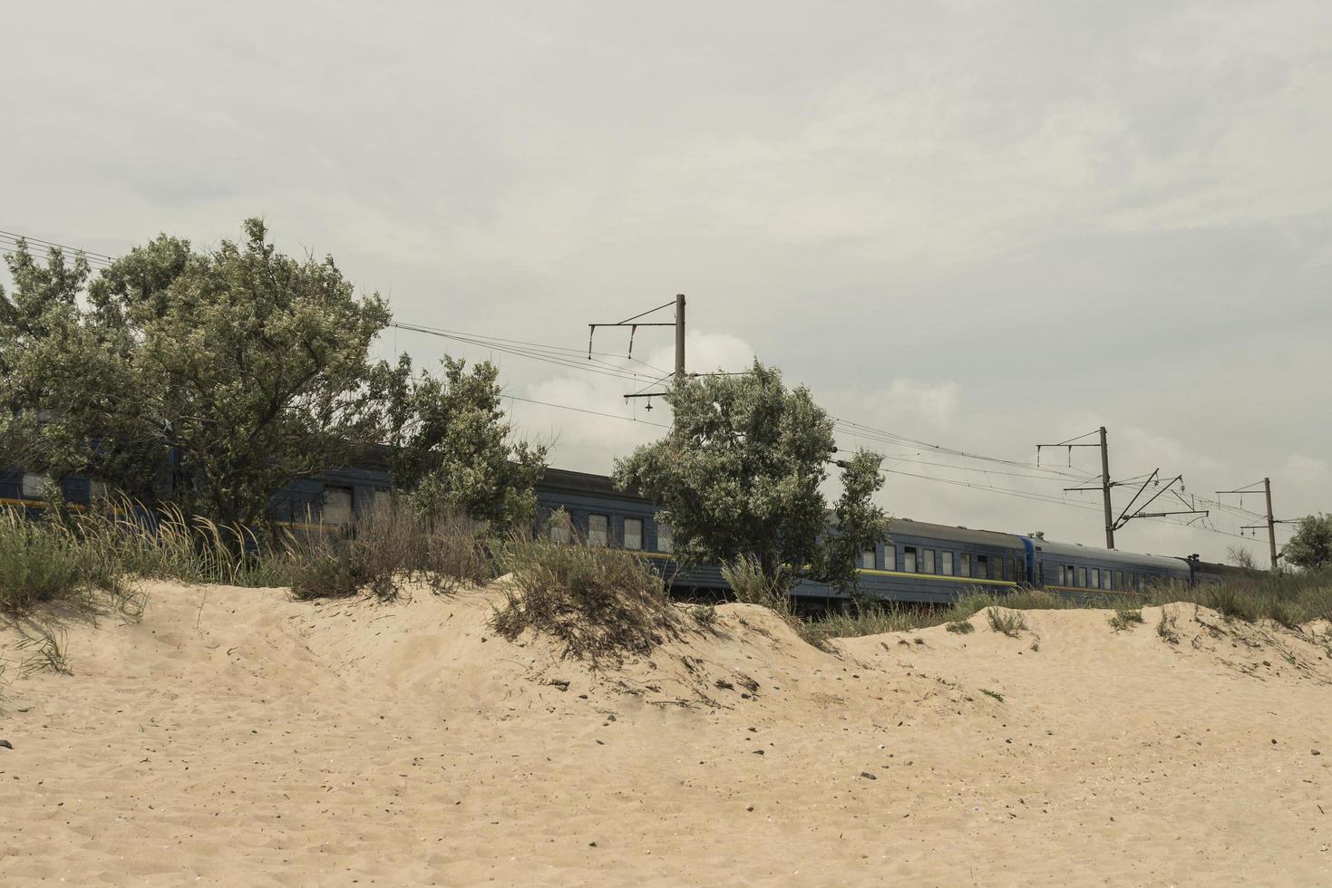 Der Zug fährt durch die Wüstenoliven, die in der Nähe der Eisenbahn wachsen foto