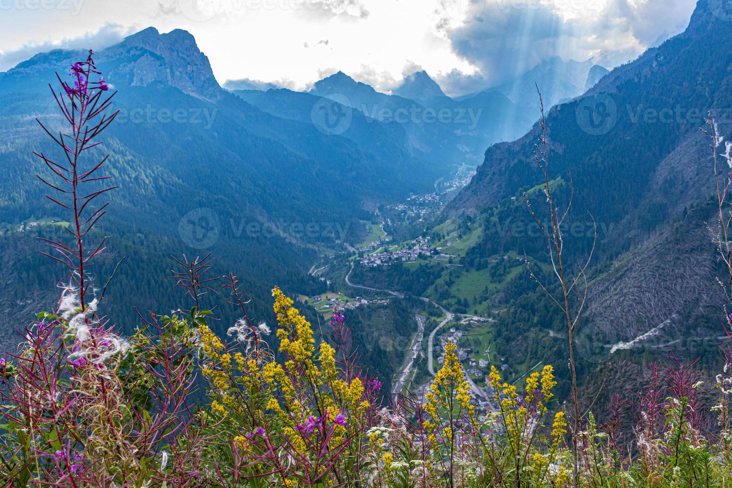 Sonnenstrahlen auf einem Tal foto