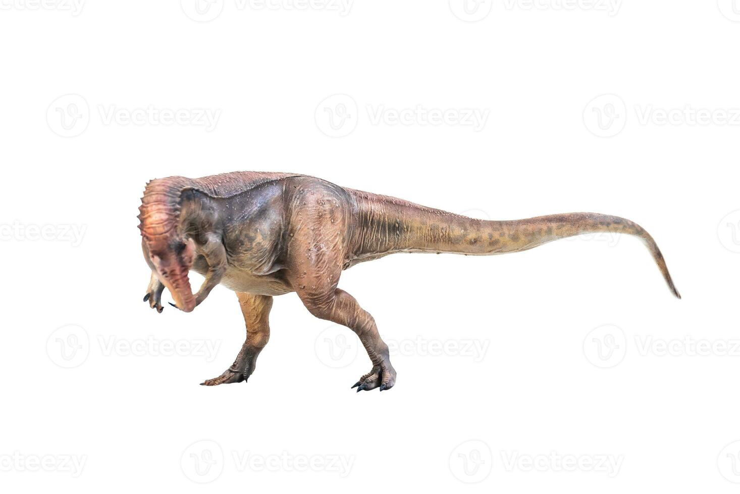 Dinosaurier , Allosaurus auf isoliert Hintergrund foto