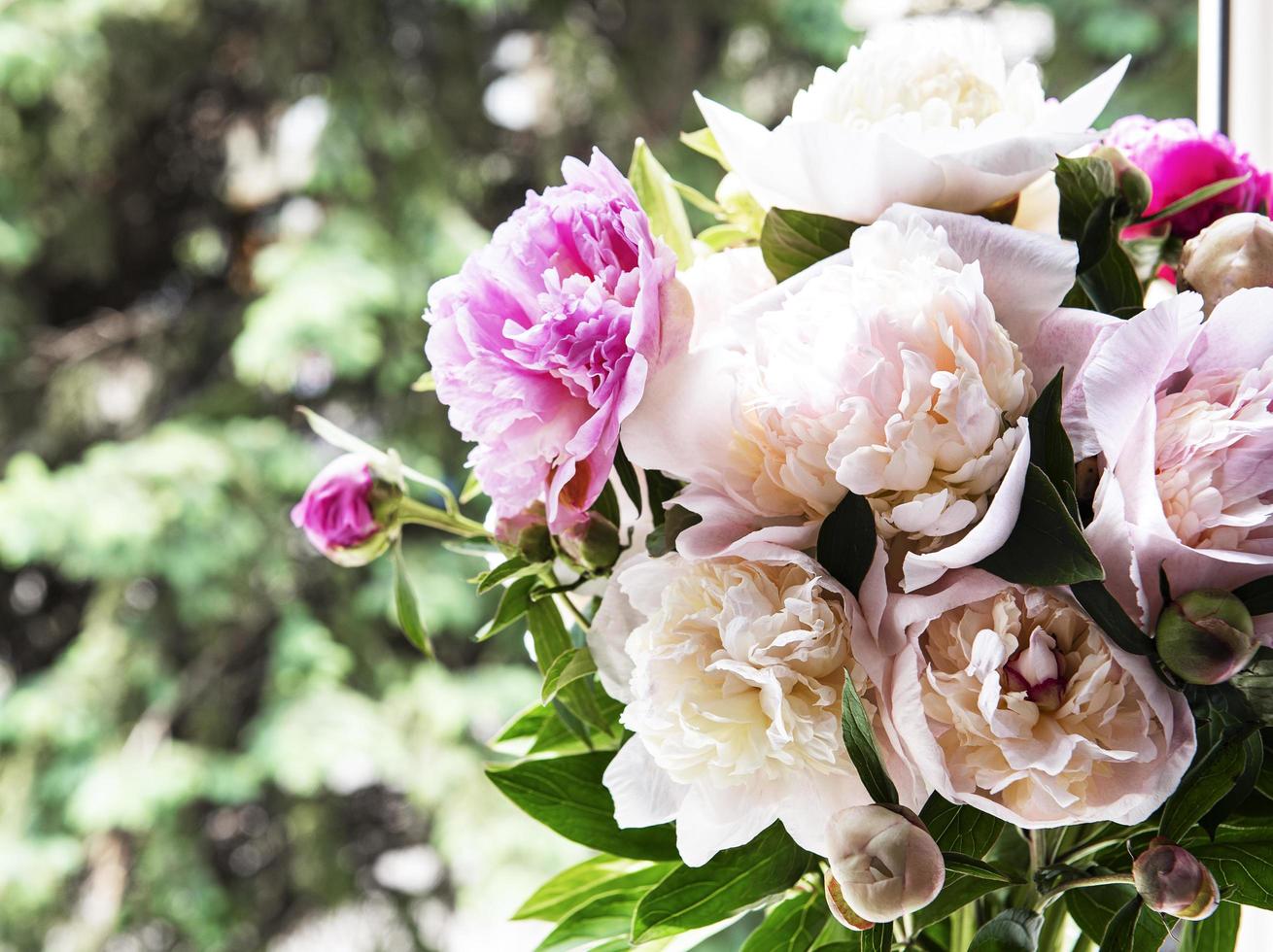 schöner rosa Pfingstrosenstrauß in einer Vase. foto