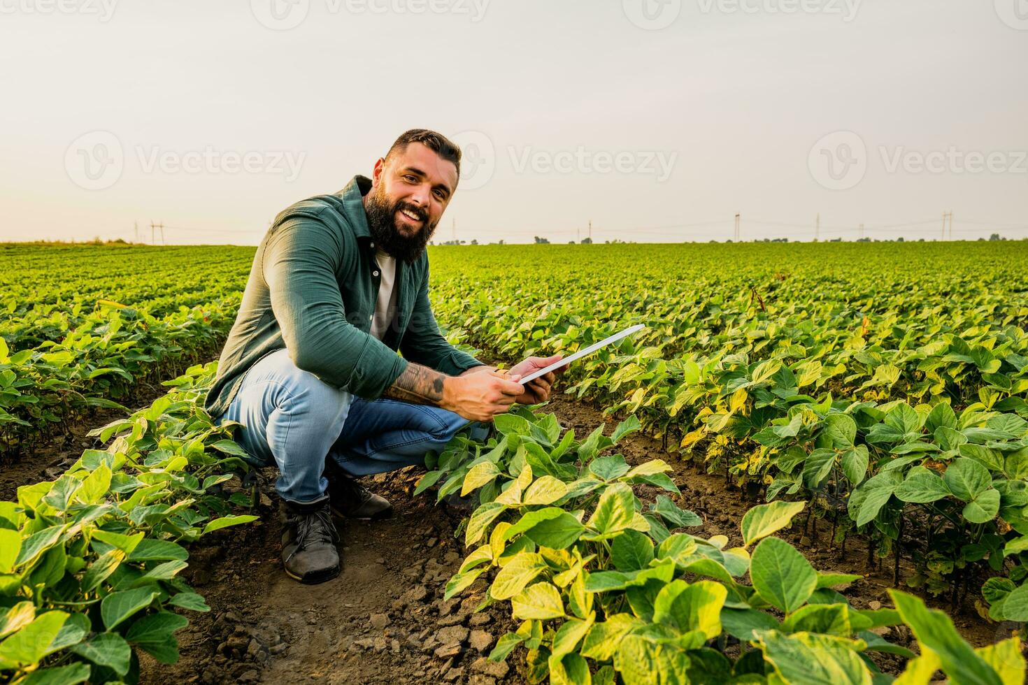 Porträt von Farmer Wer ist kultivieren Sojabohne. er ist zufrieden mit gut Fortschritt von Pflanzen. landwirtschaftlich Beruf. foto