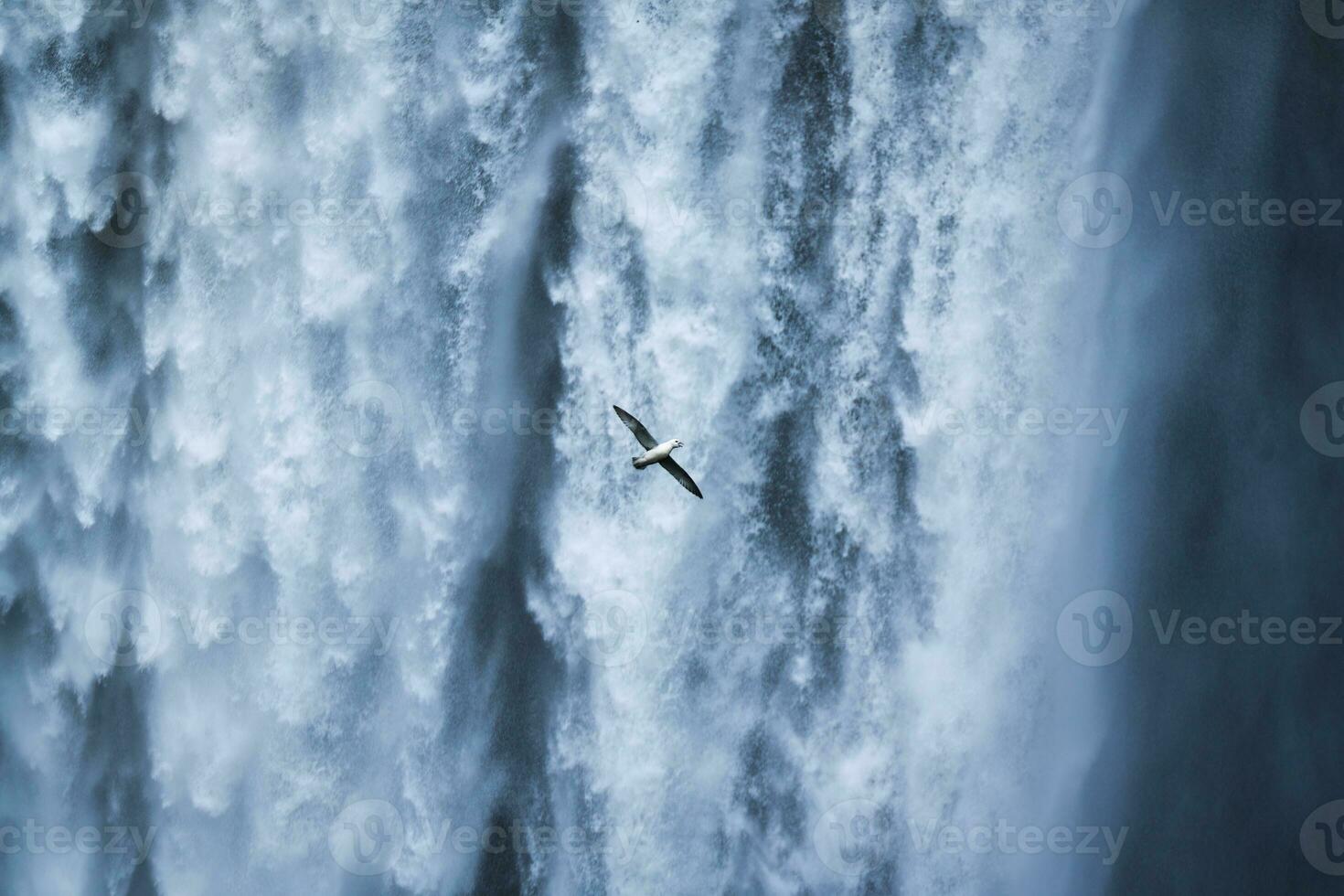 Möwenvogel fliegt in der Nähe des Skogafoss-Wasserfalls, der im Sommer in Island fließt foto