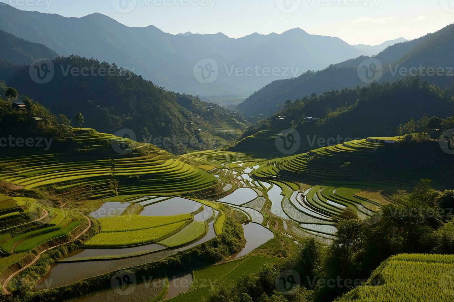 Grün terrassiert Reis Feld. ai generativ foto