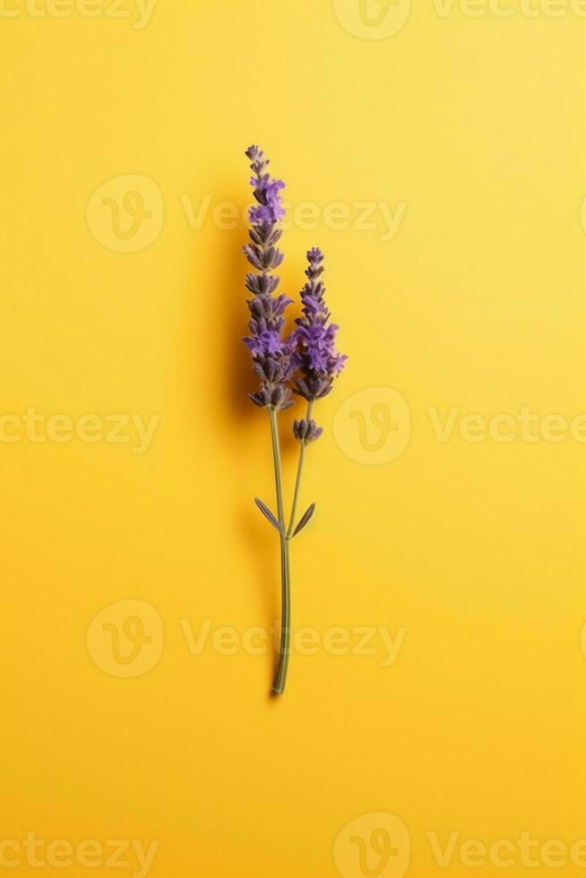 ein wenig Lavendel auf alle Seiten von das Bild. ai generativ foto