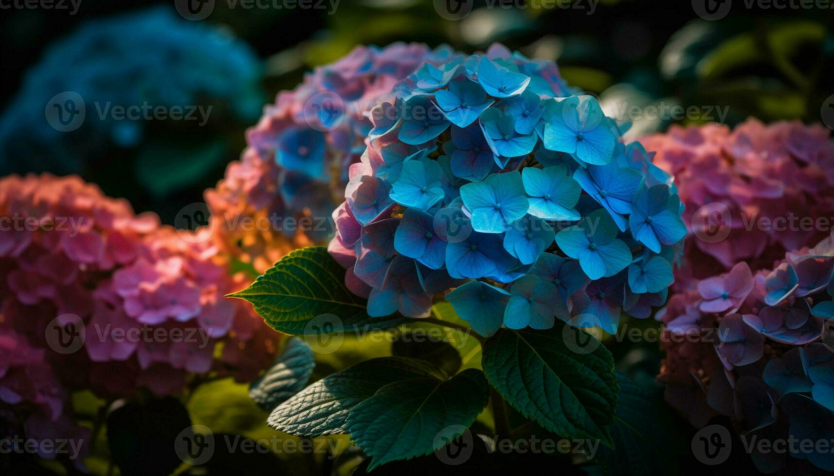 beschwingt Hortensie Blüte, frisch Schönheit im Natur generiert durch ai foto