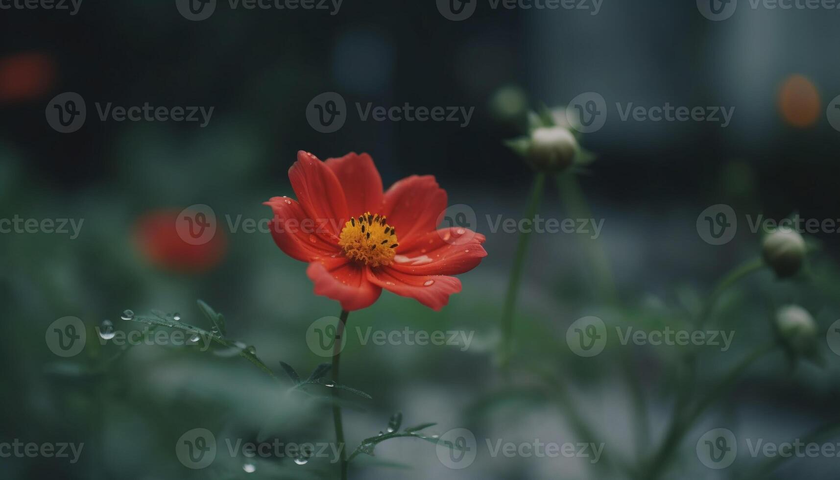 beschwingt Kosmos Blume im feucht Wiese, Schönheit im Natur Wachstum generiert durch ai foto