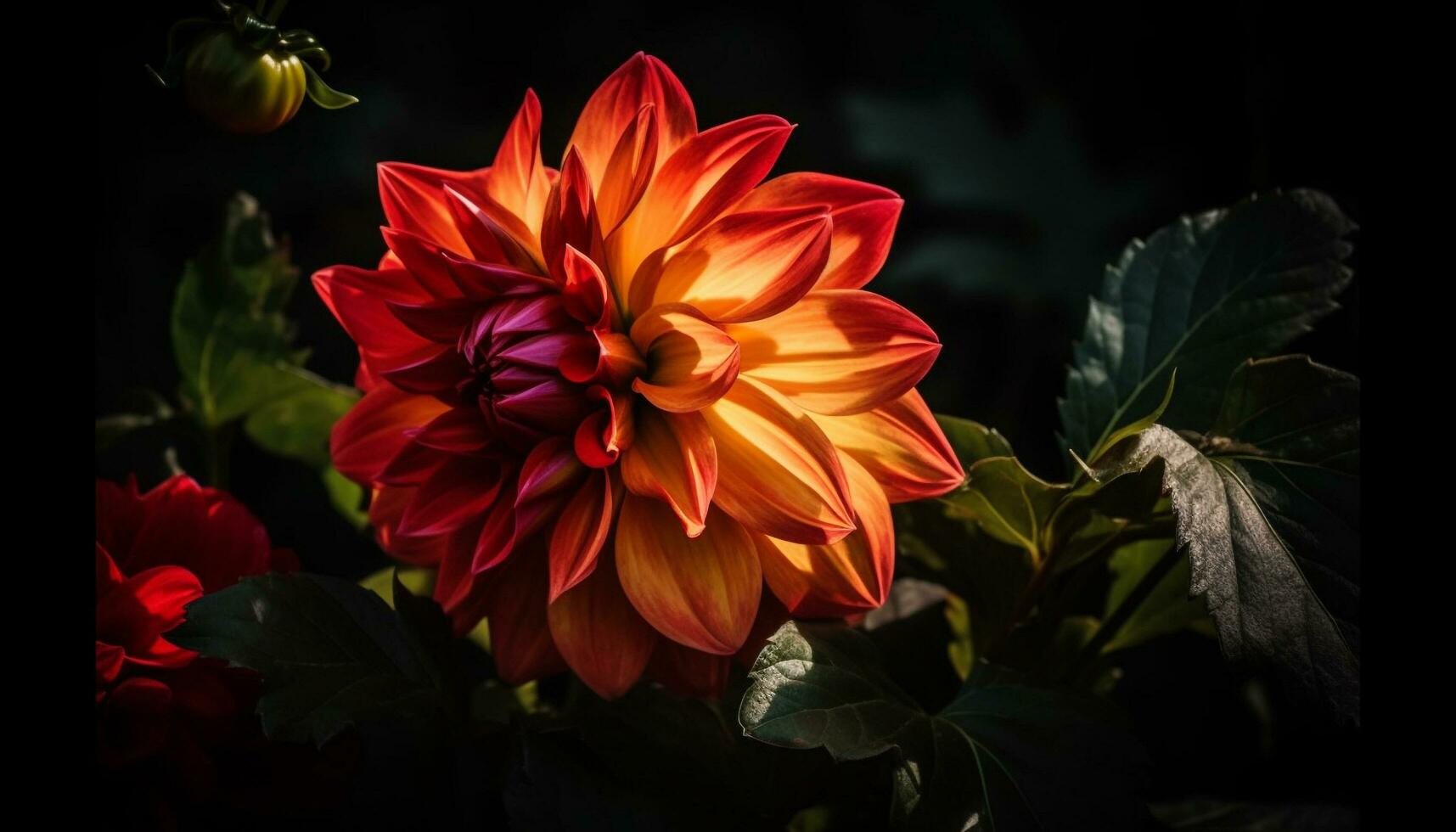 beschwingt Dahlien blühen im Natur Schönheit, ein Geschenk von Romantik generiert durch ai foto