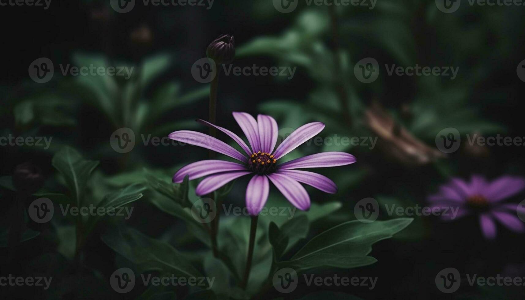 beschwingt Wildblume Wiese Vitrinen Schönheit im Natur multi farbig Palette generiert durch ai foto