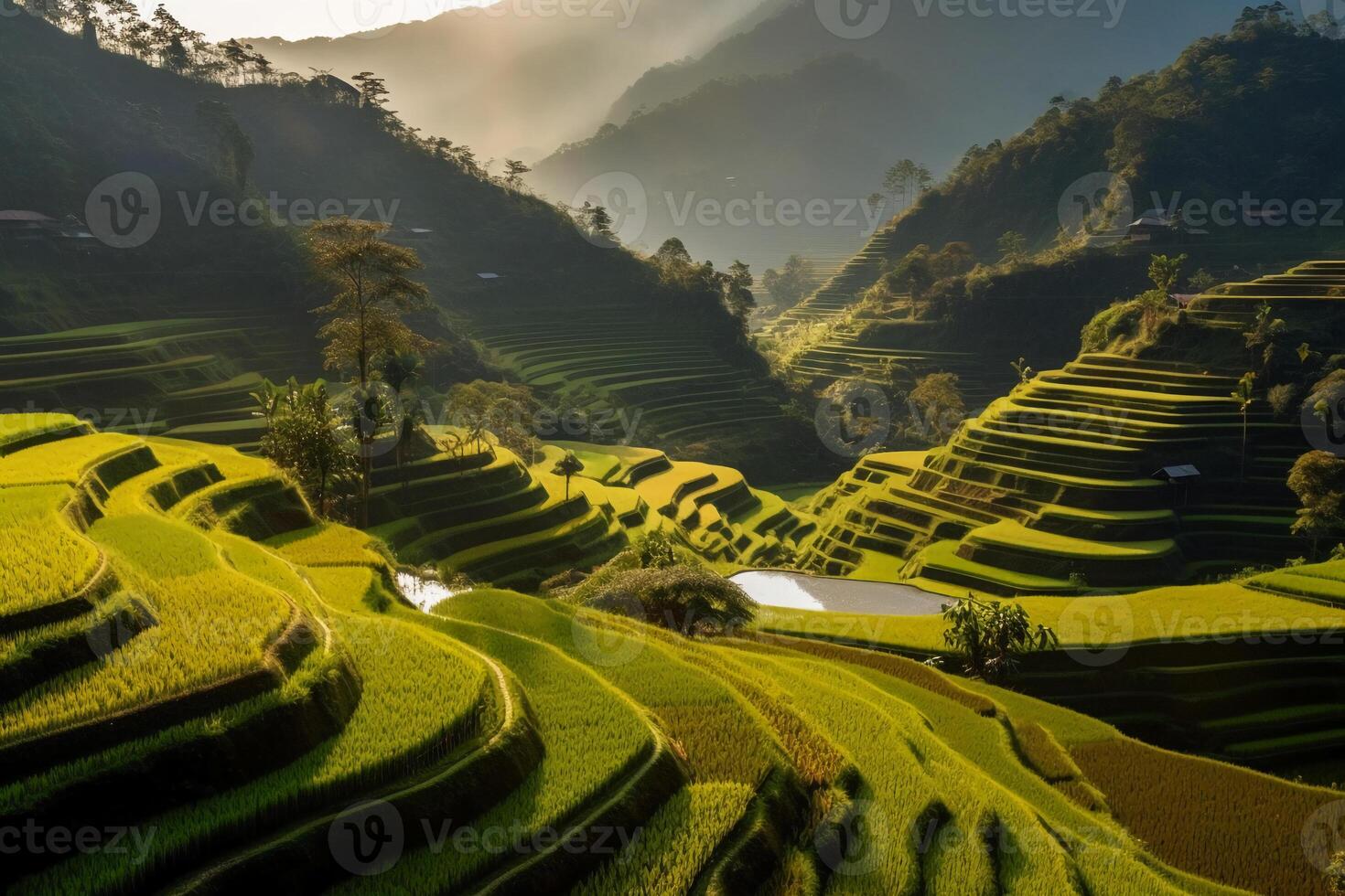 Grün terrassiert Reis Feld. ai generativ foto