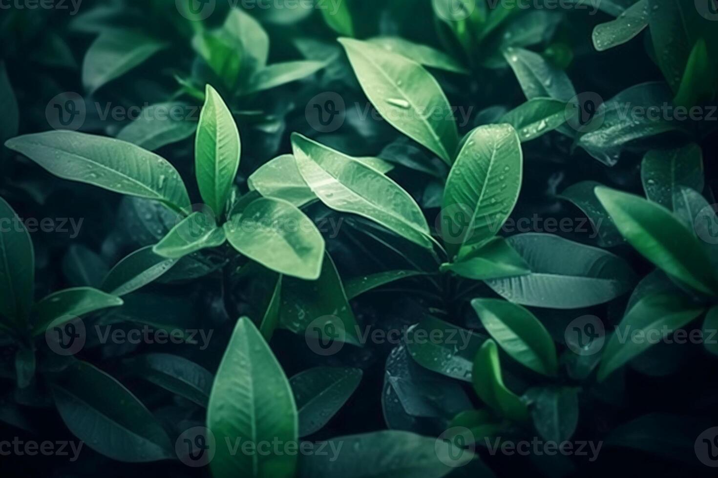 natürlich Hintergrund Rand mit frisch saftig Blätter mit Sanft Fokus draußen im Natur. ai generativ foto