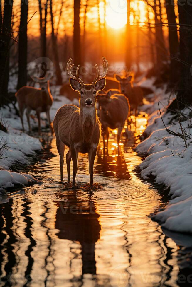 atemberaubend Fotografie von ein Herde von Hirsch im gefroren Wald. ai generativ foto