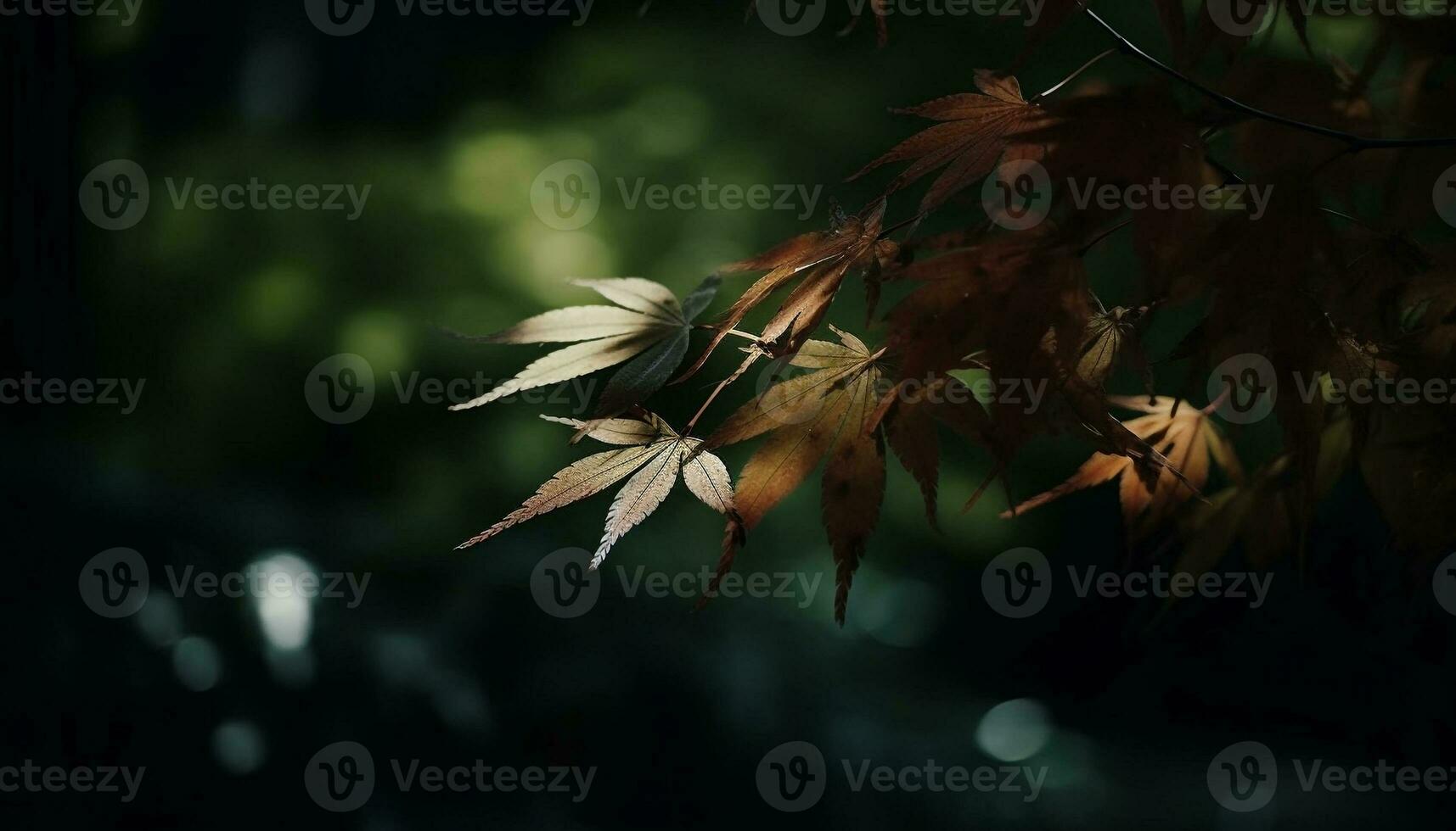 beschwingt Herbst Laub auf japanisch Ahorn Baum im natürlich Umgebung generiert durch ai foto
