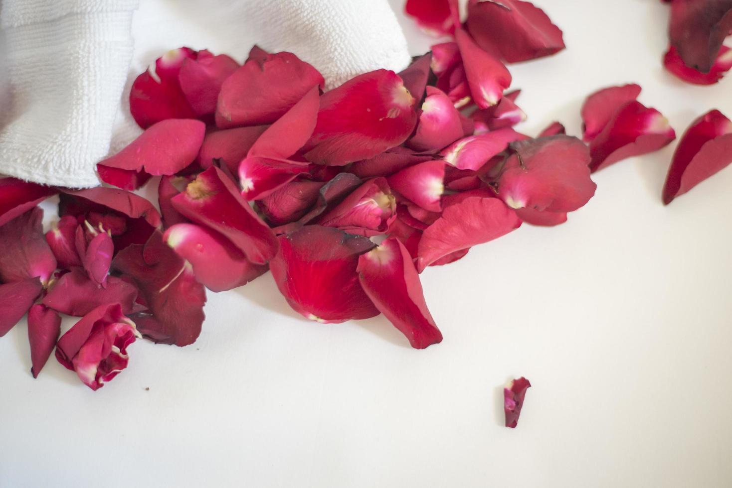 Hochzeitshintergrund mit roten Rosen foto