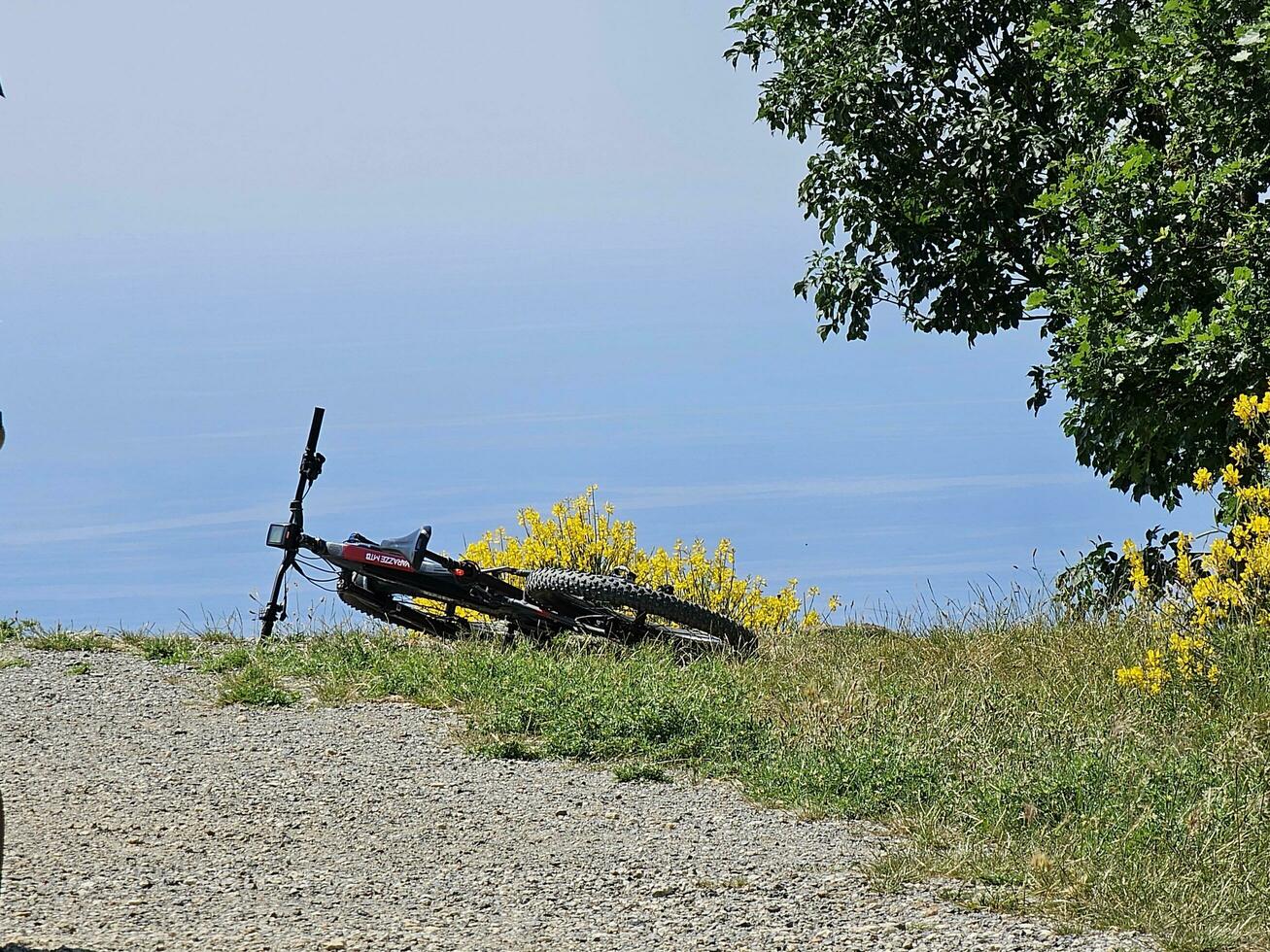 Berg Fahrrad gelehnt auf das Boden während ein Rennen im Vorderseite von das ligurisch Meer mit ein Panorama- Aussicht foto