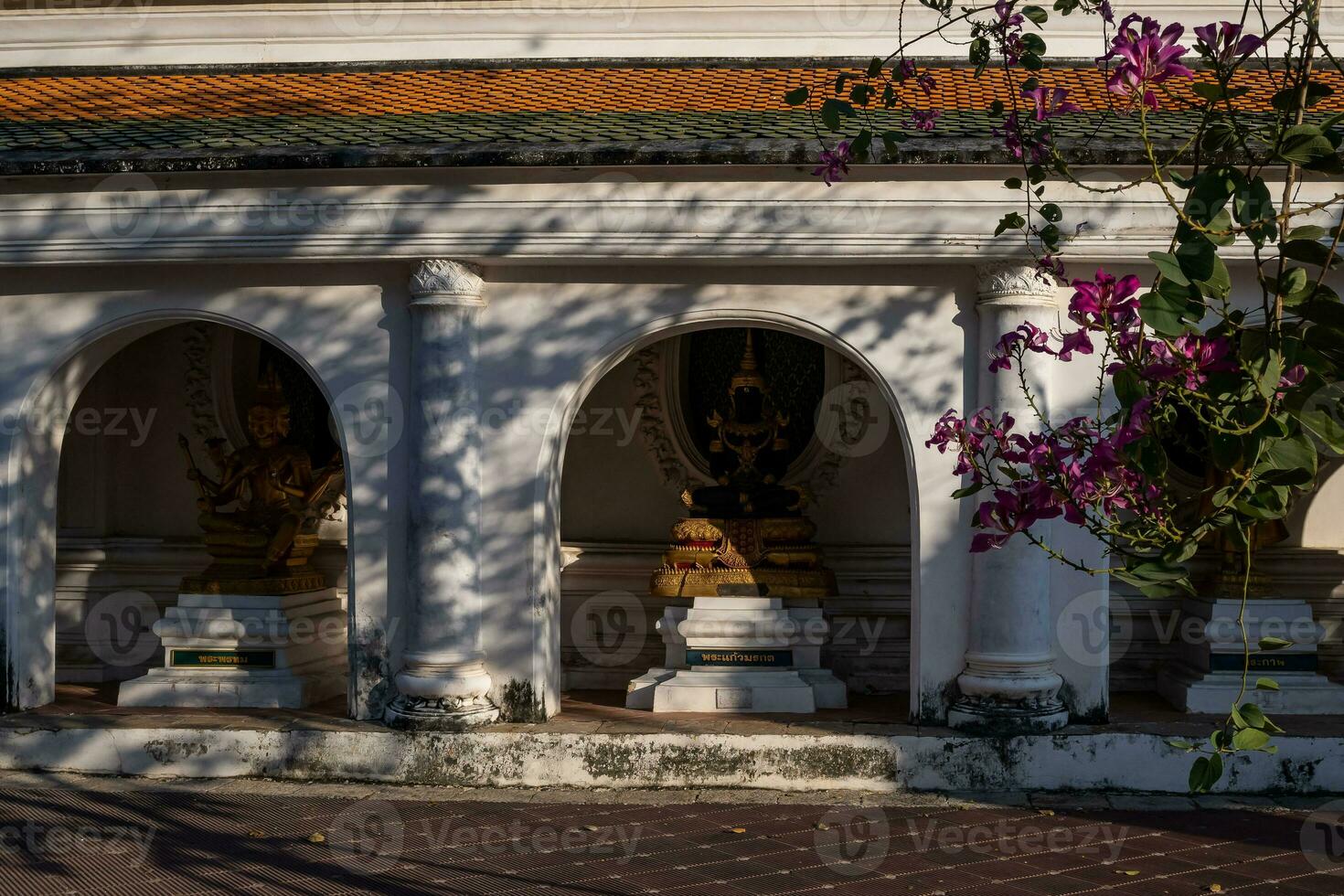 Buddha Statue Innerhalb das äußere Zaun um phra Pathom Chedi das größten Pagode im Thailand und Umgebung Bereich foto