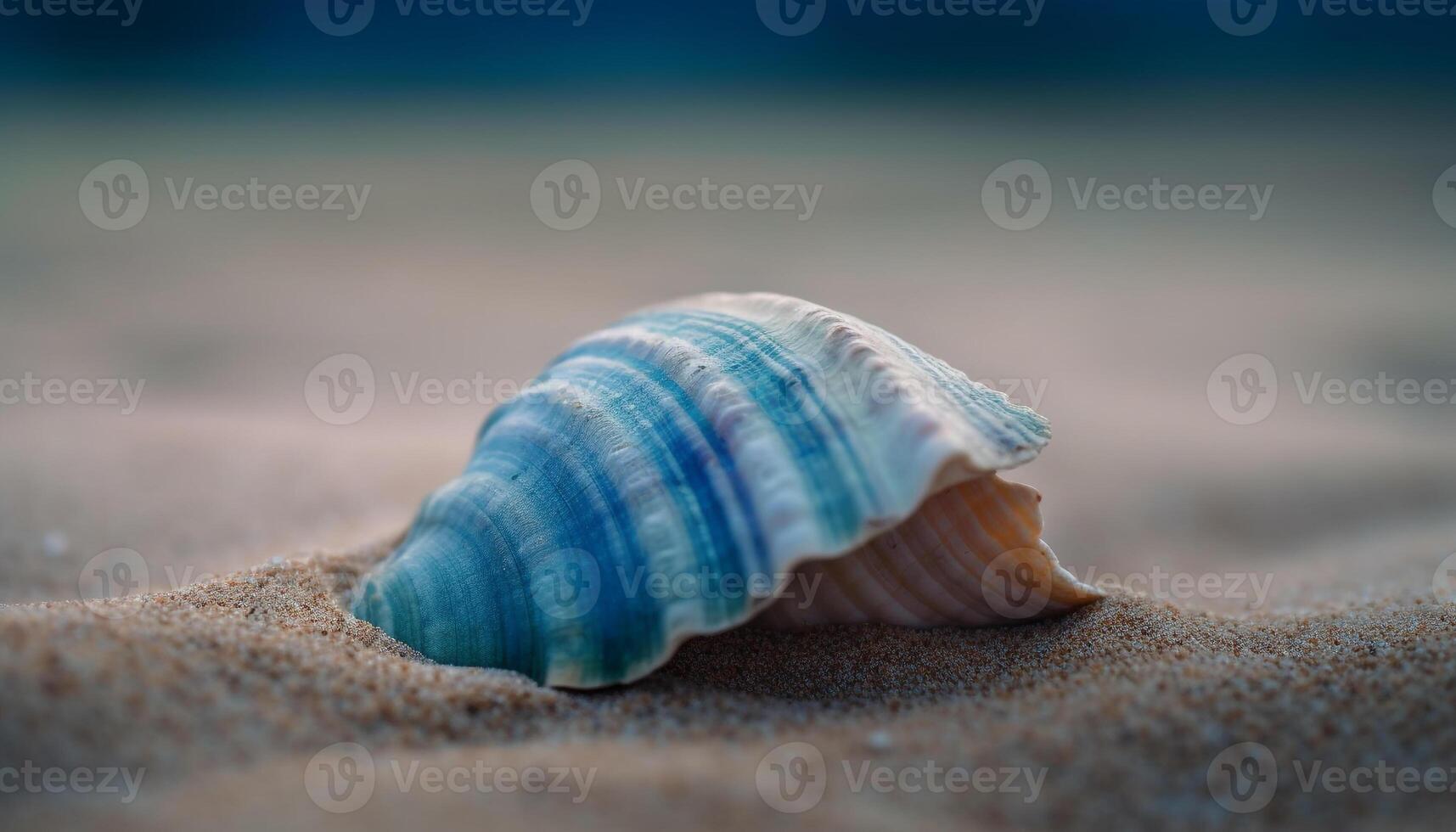 Muschel Sammlung Vitrinen Schönheit im Natur Design generiert durch ai foto