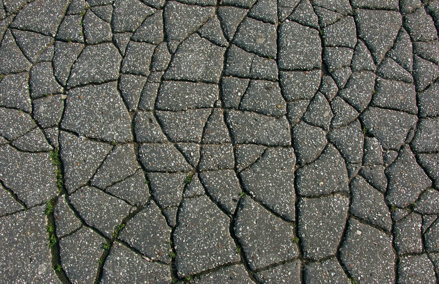 ein Netzwerk von schwarz Risse auf das Asphalt Oberfläche. Straße Textur mit verwittert Oberfläche, präsentieren das Auswirkungen von Zeit und tragen. foto