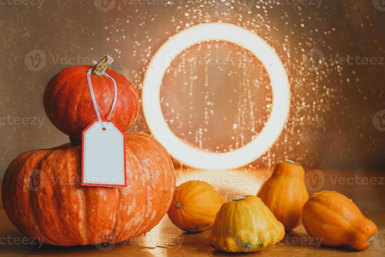 Herbstkomposition aus Kürbissen und Kürbissen foto