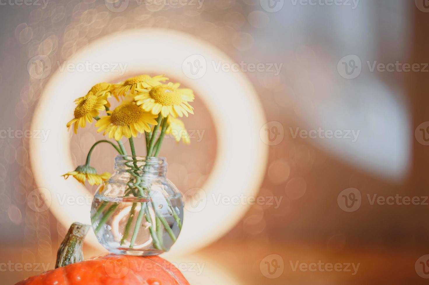 Herbstkomposition aus Kürbissen und Blumen foto