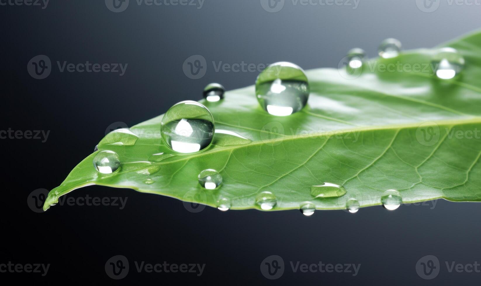 Grün Blatt mit Wasser Tropfen. Illustration ai generativ foto