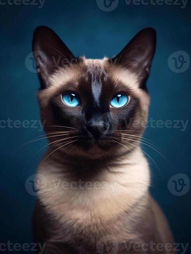 Siamese Katze auf dunkel Hintergrund. generativ ai foto