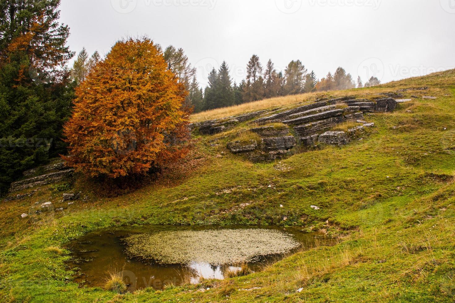 kleiner Teich auf einem Hügel foto