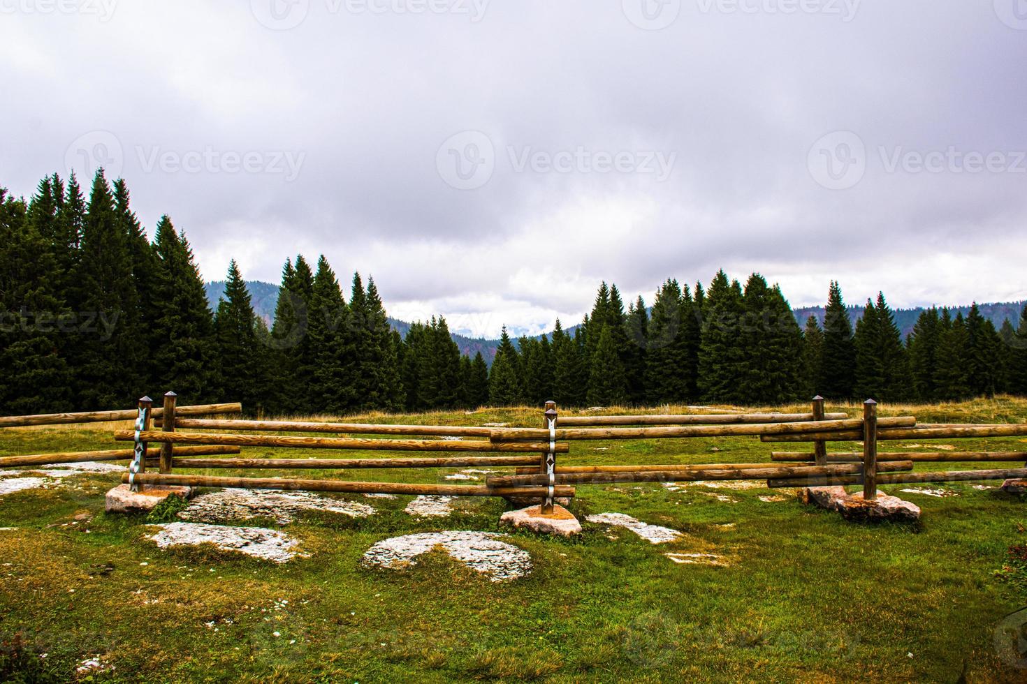 Holzzaun und Wald foto