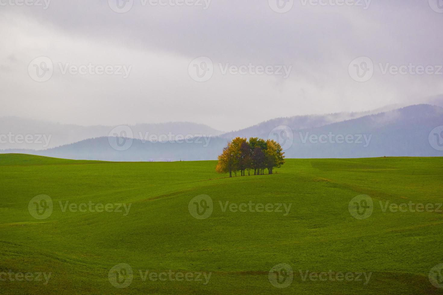 saftige Wiese und Wolken foto