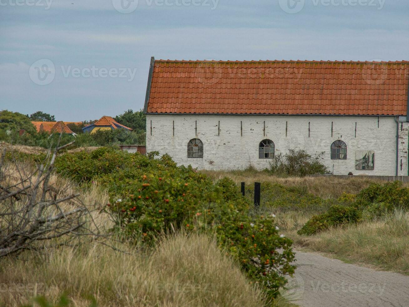 die Insel Spiekeroog foto