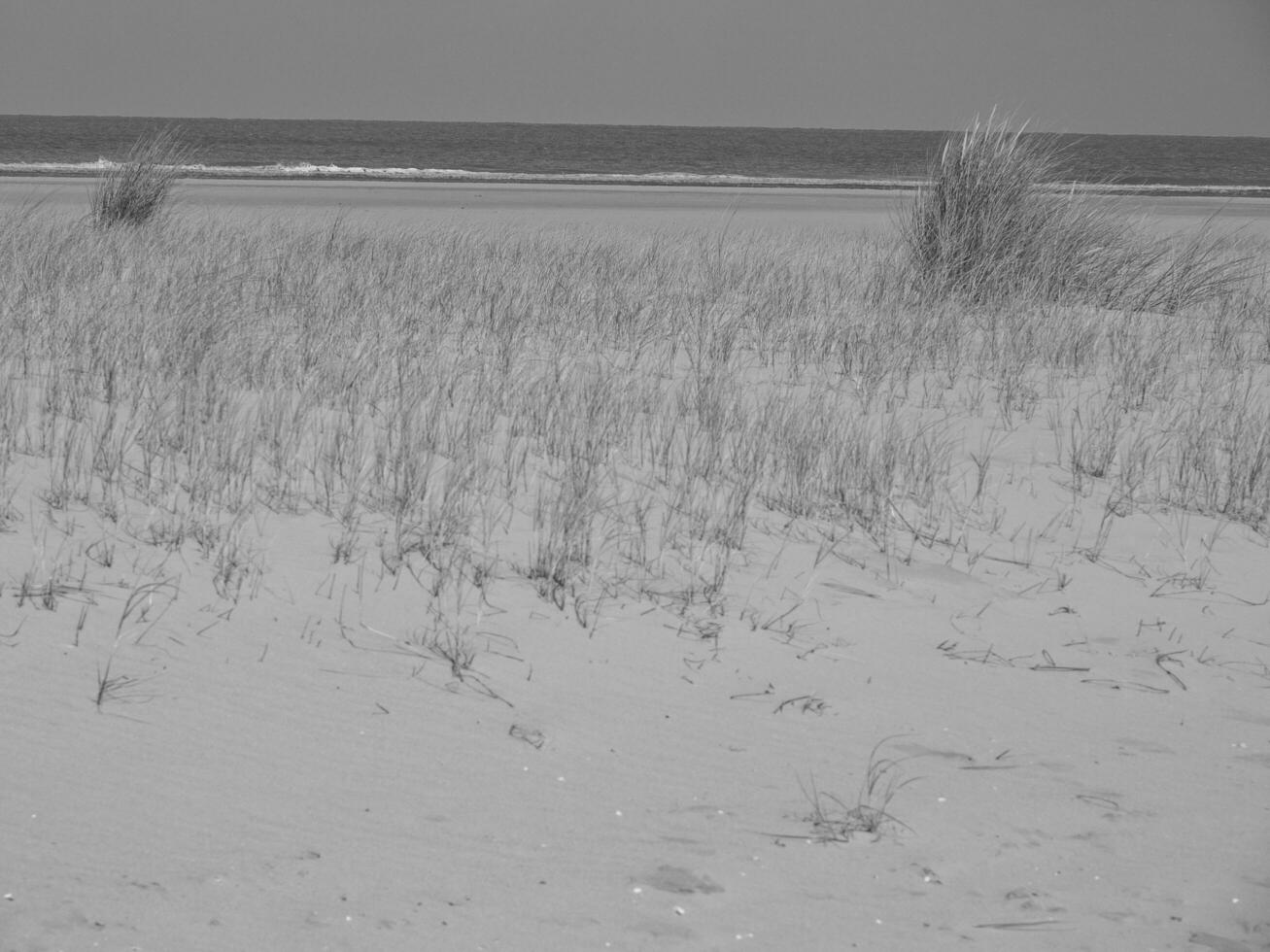 insel spiekeroog in deutschland foto