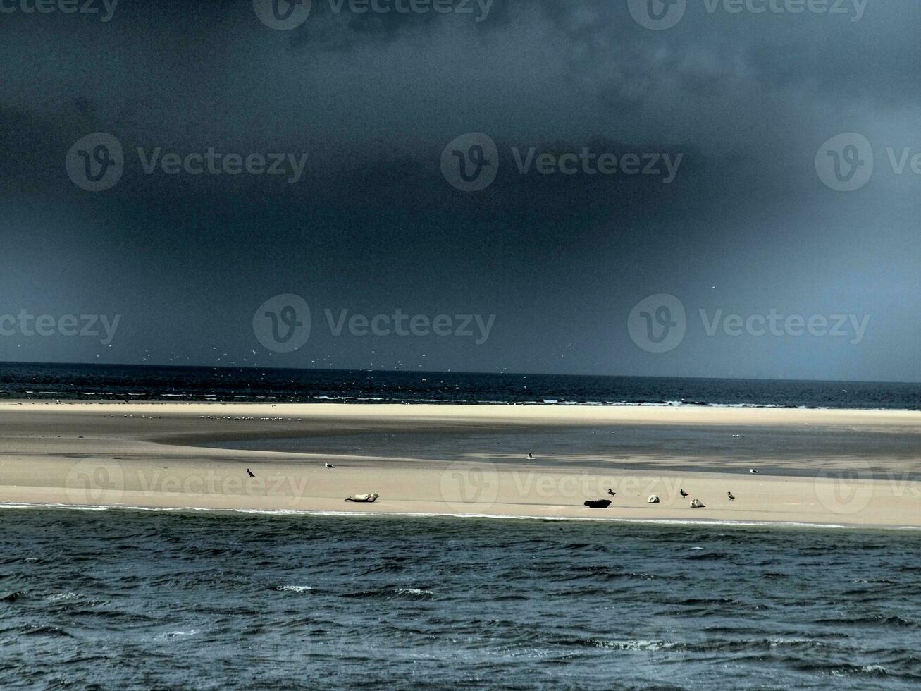 borkum Insel im das Norden Meer foto