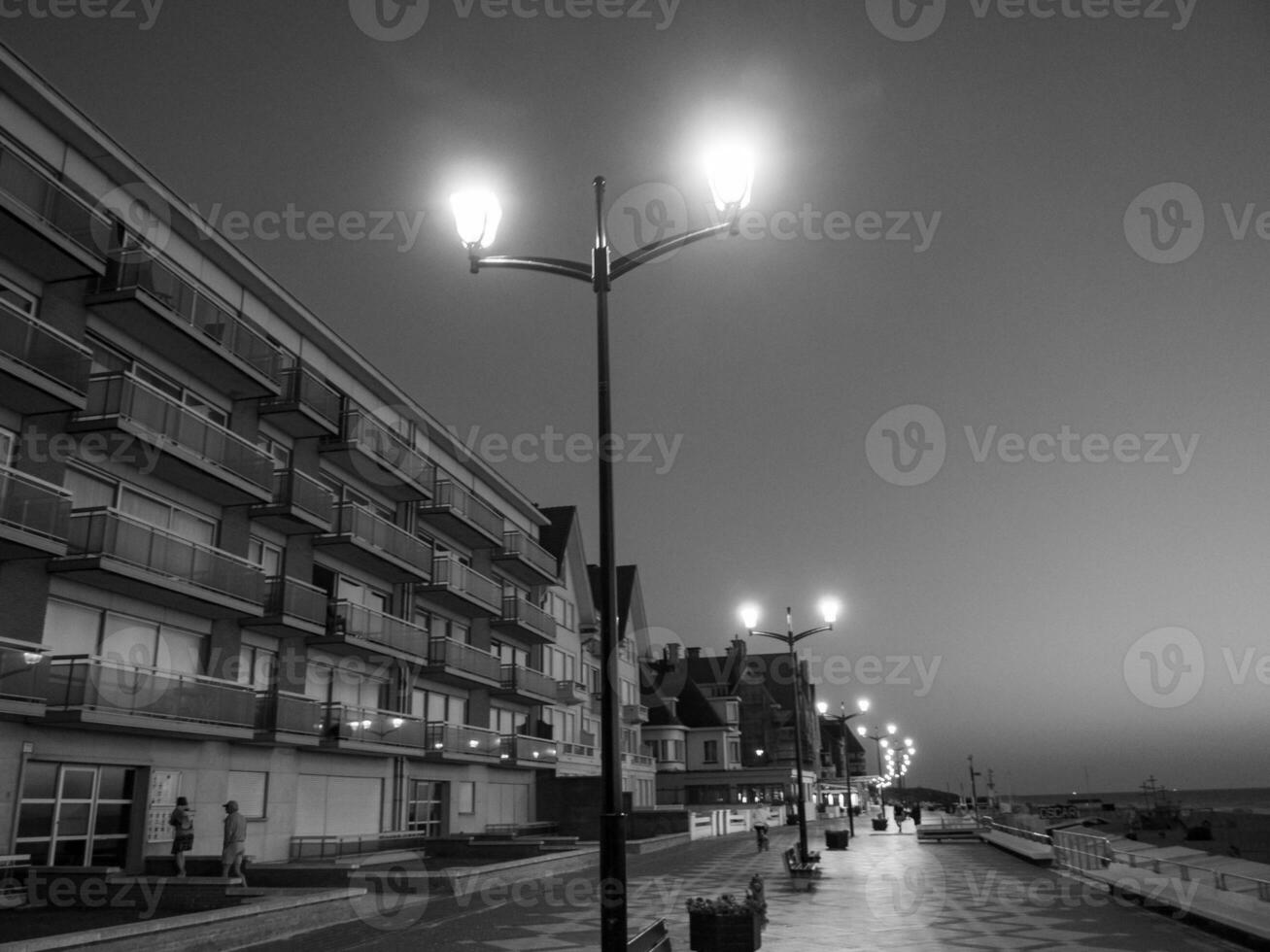 de haan beim das Norden Meer im Belgien foto