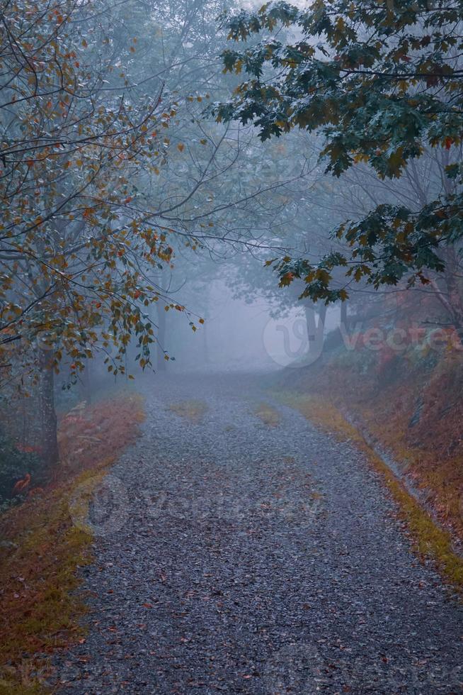 Straße in den Bergen mit Nebel in der Herbstsaison foto