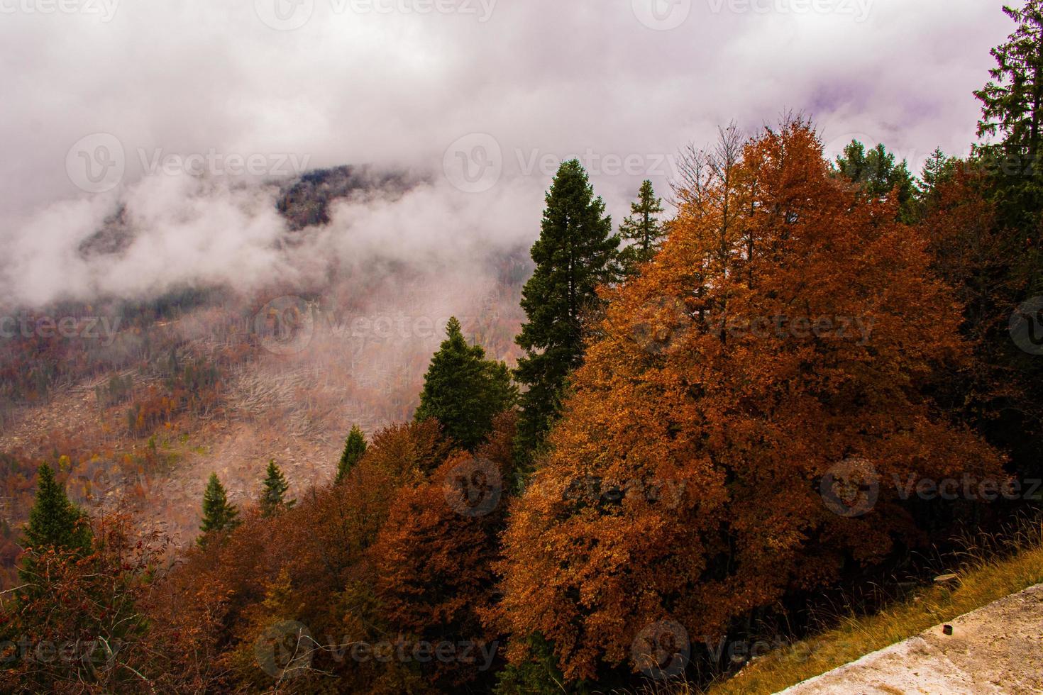 neblige Herbstlandschaft foto