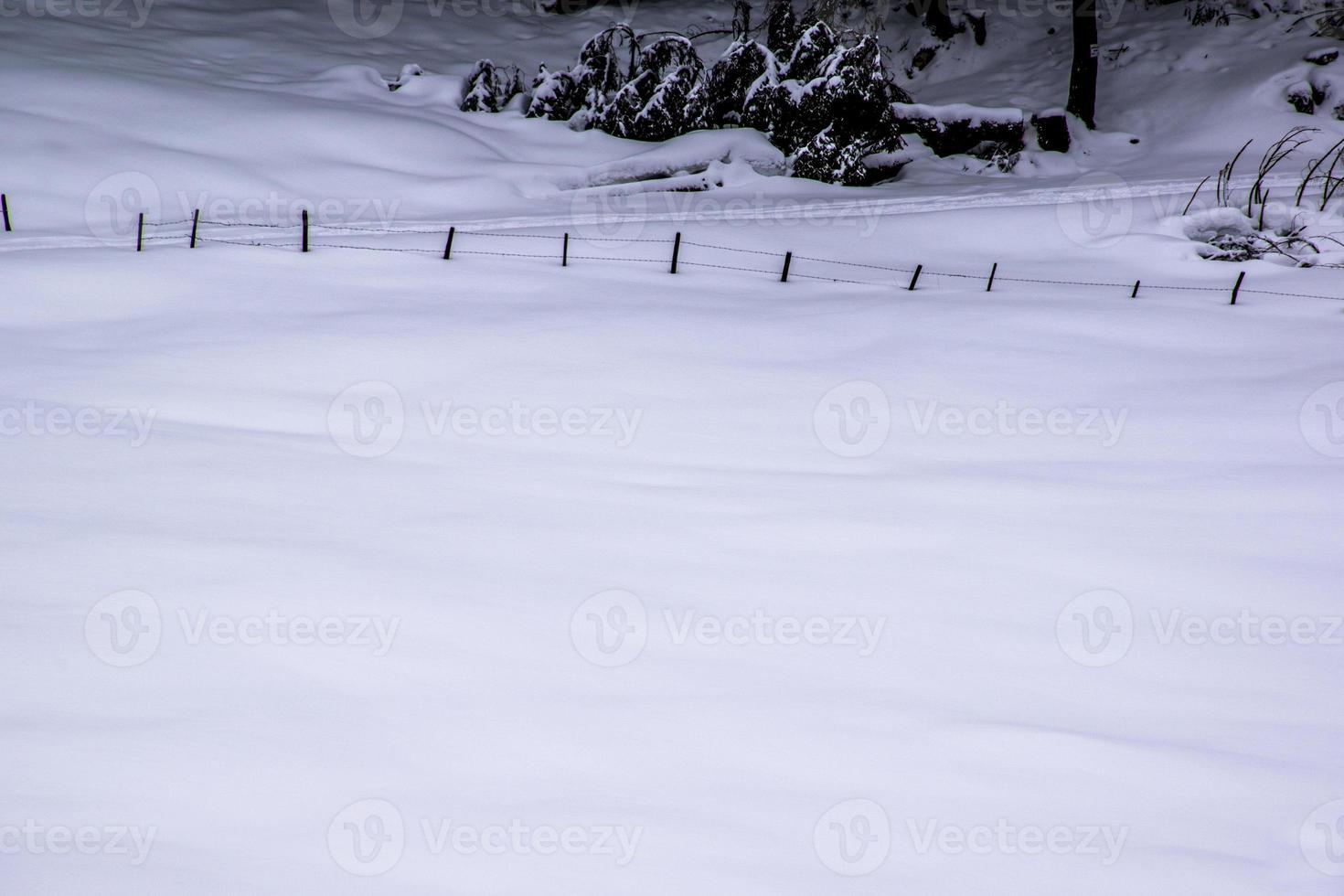 Zaun und Schnee foto