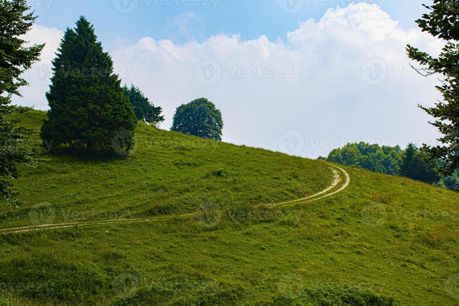 Weg auf einem Hügel foto