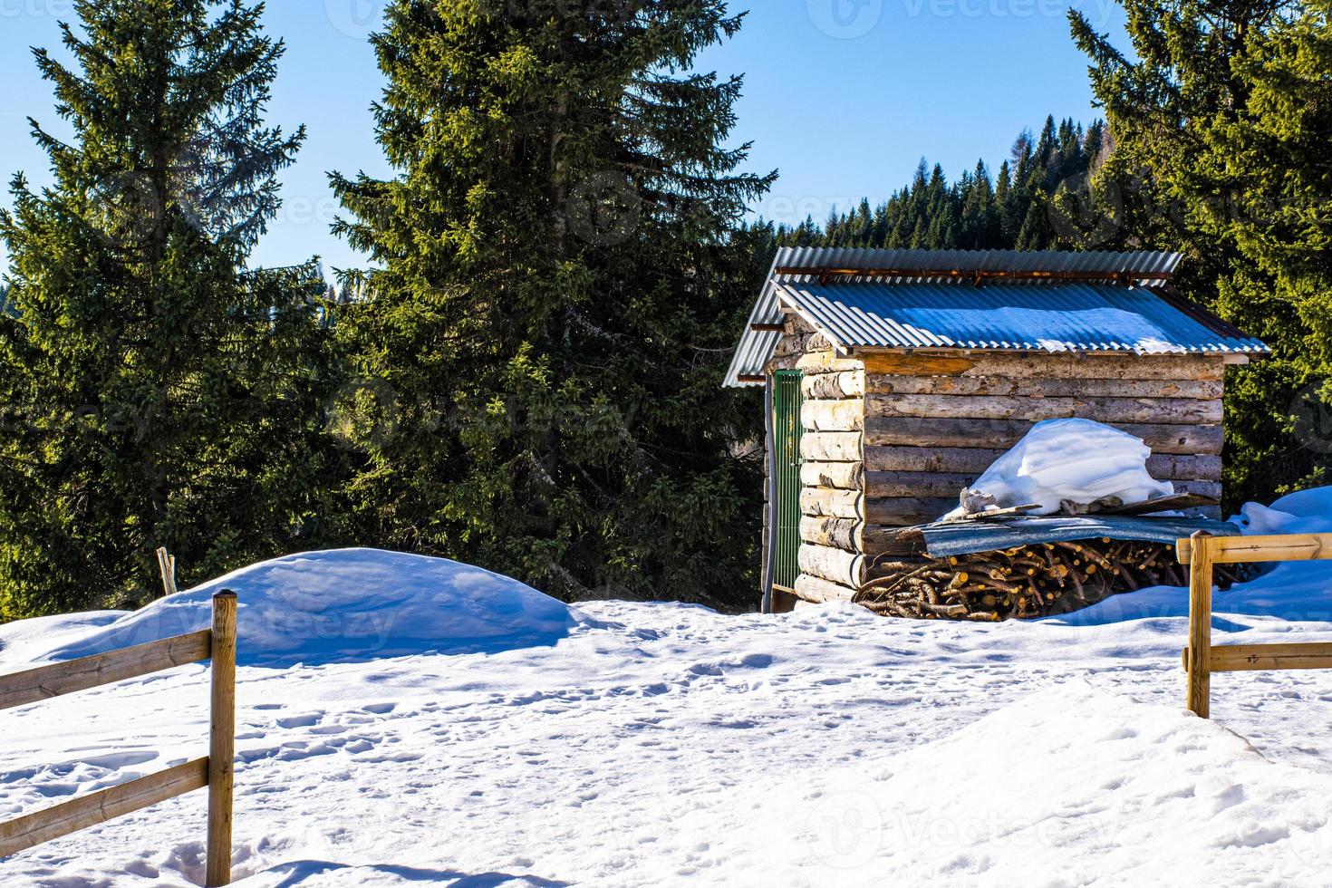 Schnee und Schuppen foto