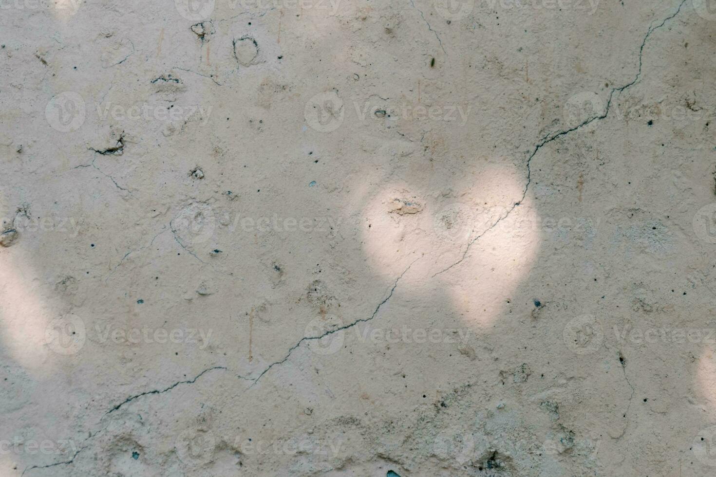 das Schatten von das Baum Blätter auf das alt Beige Mauer. foto