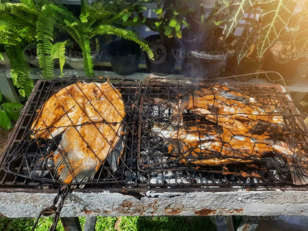 gegrillt Fisch auf das Grill. Nil Tilapia und Pangas Wels auf das Grill. Essen Fotografie. draussen Kochen zum Mittagessen foto